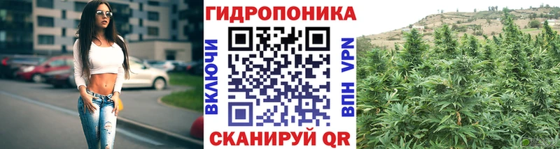 Марихуана марихуана  Москва 
